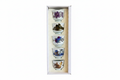 Chinese Porcelain Tea Cup Set – 5 Pieces 100mL