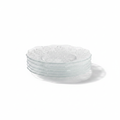 Glass Floral Plates – Set of
